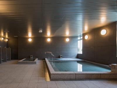 Hotel Nihon Seinenkan Tokio